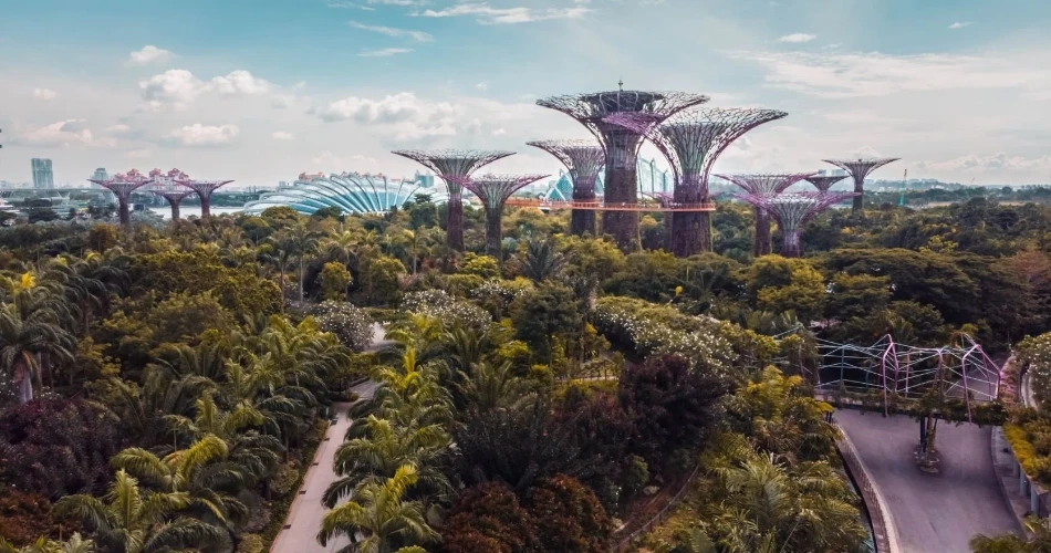 Is Singapore Expensive? How to Visit on a Budget Without Missing Out