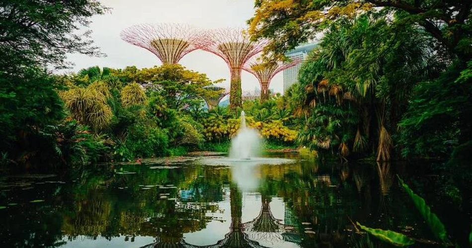 Is Singapore Expensive? How to Visit on a Budget Without Missing Out