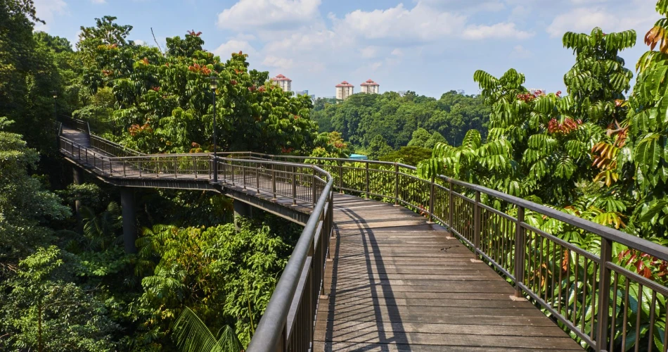 Is Singapore Expensive? How to Visit on a Budget Without Missing Out