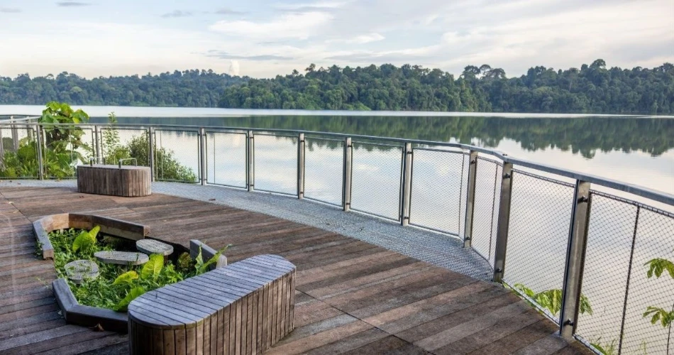 Is Singapore Expensive? How to Visit on a Budget Without Missing Out